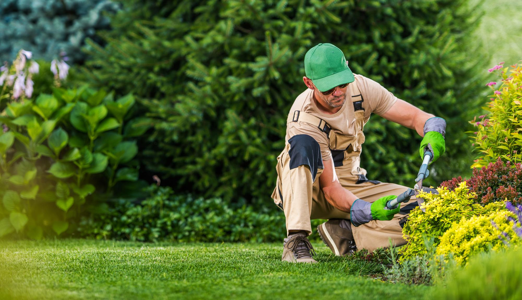 RCS Maintenance gardener working on a garden in West London